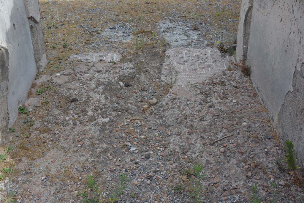 VI.14.12 Pompeii. July 2017. Detail of flooring in entrance corridor.
Foto Annette Haug, ERC Grant 681269 DÉCOR.