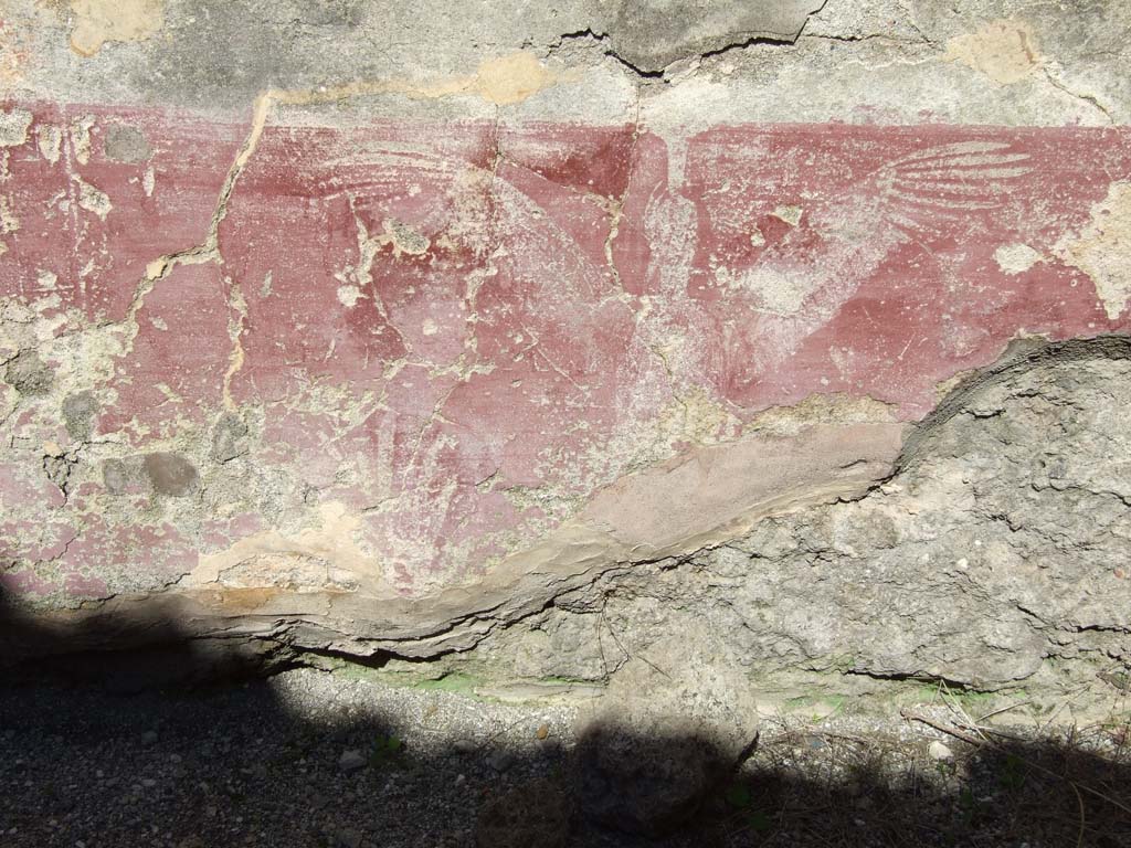 VI.14.20 Pompeii. March 2009.
Room 10, remains of painted plant decoration and bird, on zoccolo at east end of lower north wall in triclinium.