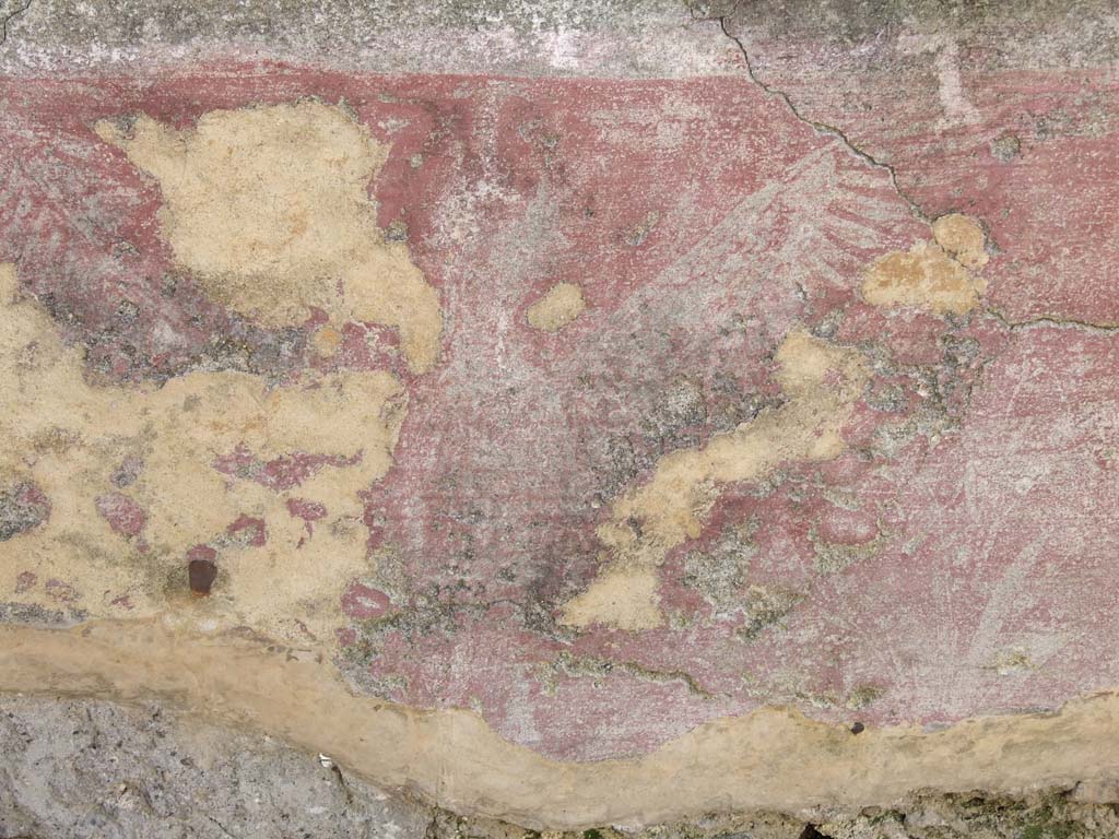 VI.14.20 Pompeii. March 2009. Room 10, remains of painted bird decoration, and plants at east end of south wall of triclinium.