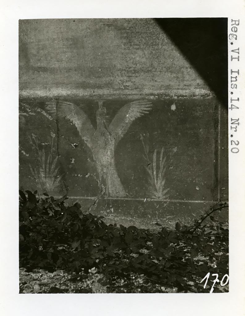 VI.14.20 Pompeii. pre-1937-39.
Room 10, purple/violet zoccolo painted with panels in which herons with outstretched wings can be seen.
Photo courtesy of American Academy in Rome, Photographic Archive. Warsher collection no. 1702.