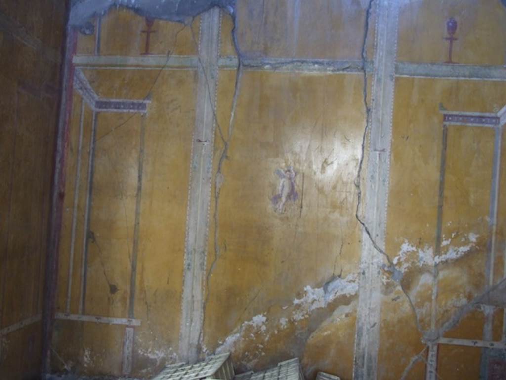 VI.14.20 Pompeii. March 2009. Room 13. South wall.