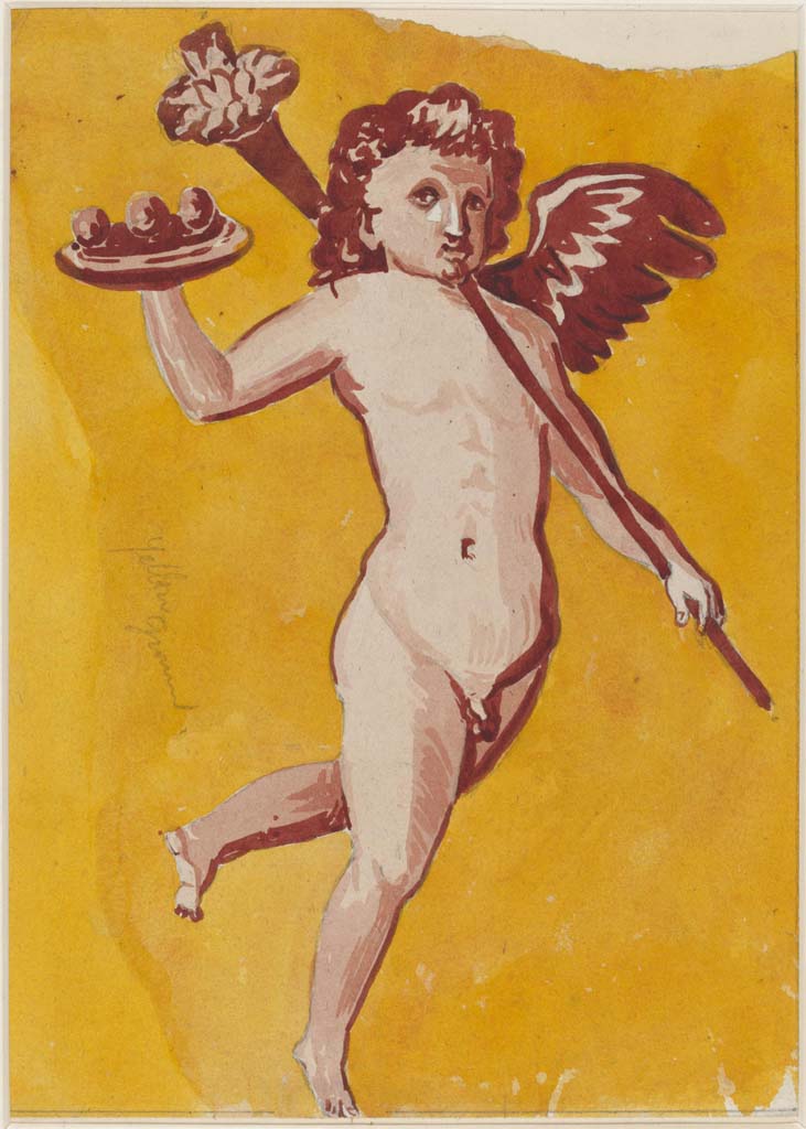 VI.14.20 Pompeii. Undated painting of cupid by Sydney Vacher.
(Note: this may or may not have come from the same room 13, as the above one, where the walls are very faded)
Photo © Victoria and Albert Museum, inventory number E.4415-1910.
Photo © Victoria and Albert Museum, inventory number E.4415-1910.