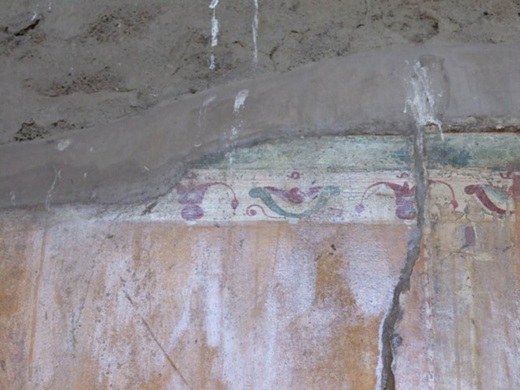 VI.14.20 Pompeii. March 2009. Room 13. Decorated border on top of painted plaster.