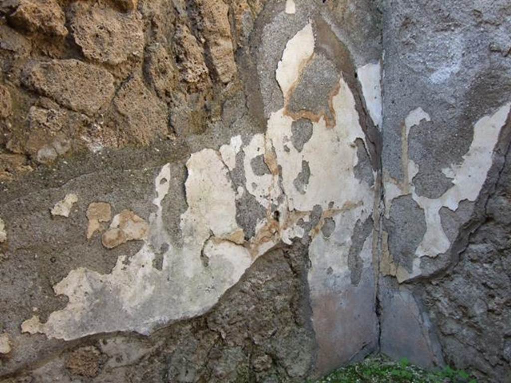 VI.14.20 Pompeii. March 2009. Room 14. West wall. Remains of painted plaster above steps.