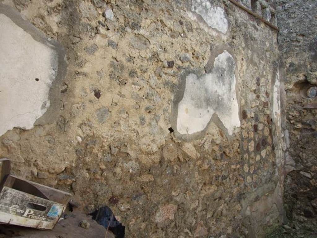 VI.14.20 Pompeii. March 2009. Room 14. South wall.