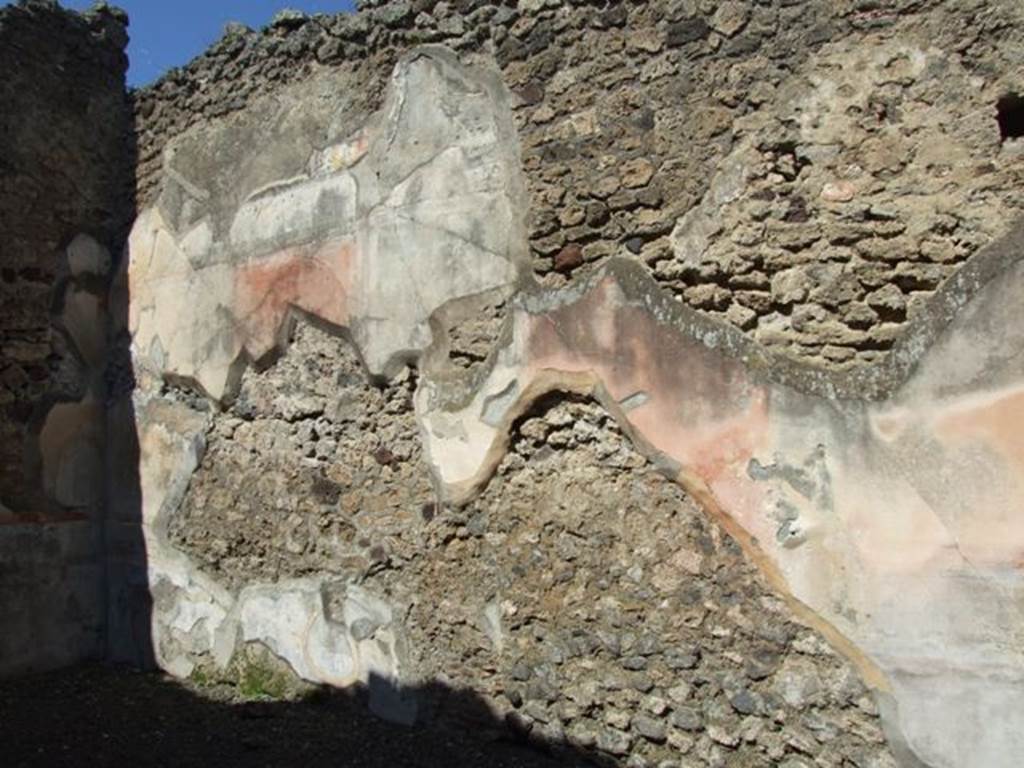 VI.14.20 Pompeii. March 2009. Room 15, north wall of triclinium with remains of painted plaster.