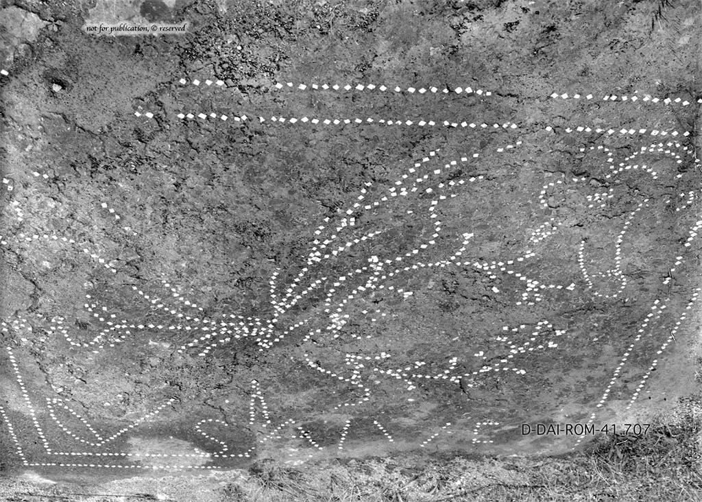 VI.14.21 Pompeii. Pre 1938. Fragment of flooring with white tesserae from room “r”.
DAIR 41.707. Photo © Deutsches Archäologisches Institut, Abteilung Rom, Arkiv.
See Pernice, E., 1938. Pavimente und Figürliche Mosaiken: Die Hellenistische Kunst in Pompeji, Band VI. Berlin: de Gruyter, p. 80, Taf. 35,4.
According to PPM –
“The floor of cocciopesto, which at the rear of the room had a decoration outlined in white tesserae, containing a phallus, some branches, two cornucopia and the inscription “SALVE” (now preserved only in taf. 35.4 of Pernice and in Fig. 68 of the Warscher), it must have been carried out before the installation of the basins/tanks.”
See Carratelli, G. P., 1990-2003. Pompei: Pitture e Mosaici. Vol. V. Roma: Istituto della enciclopedia italiana, (p. 331).