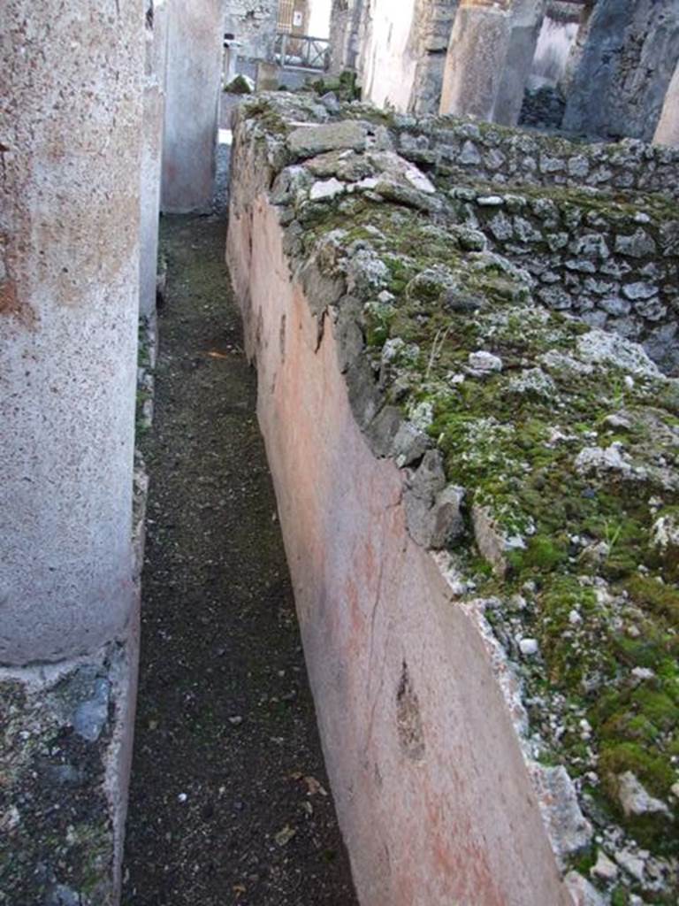 VI.14.22 Fullonica of Balbinus. December 2007. Room 12. Looking east along plaster around north side of basins in peristyle.