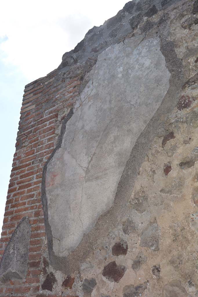 VI.14.30 Pompeii. July 2017. Detail from south wall of vestibule/entrance corridor.
Foto Annette Haug, ERC Grant 681269 DÉCOR.