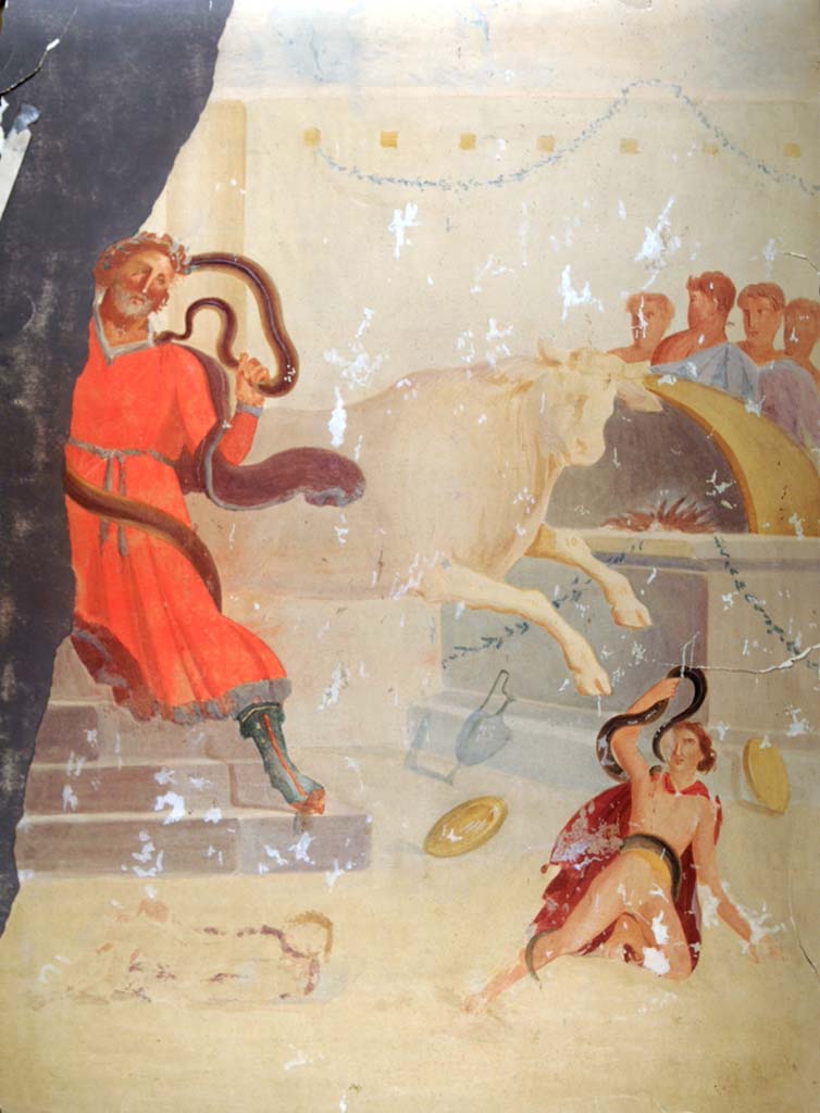 VI.14.30 Pompeii. Copy by Geremia Discanno of the painting of the death of Laocoon and his sons, from the south wall of the atrium.
Now in Naples Archaeological Museum. Inventory number ADS 418.
Photo © ICCD. http://www.catalogo.beniculturali.it
Utilizzabili alle condizioni della licenza Attribuzione - Non commerciale - Condividi allo stesso modo 2.5 Italia (CC BY-NC-SA 2.5 IT)
Original now in Naples Archaeological Museum, the decoration from this house that was left in situ has now completely disappeared.