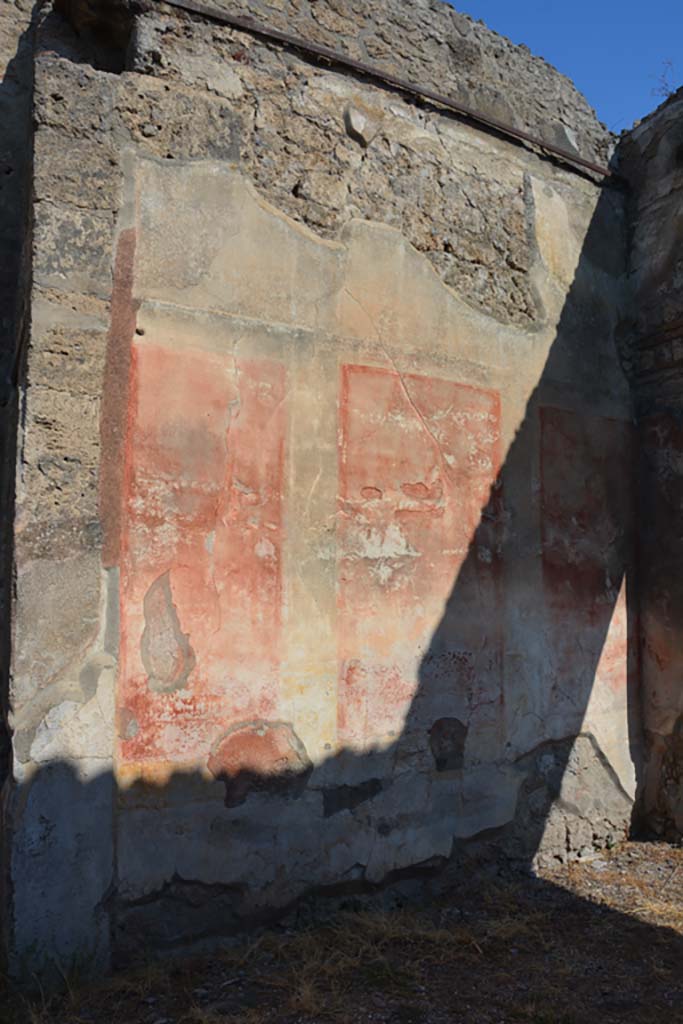 VI.14.40 Pompeii. September 2019. North wall of tablinum.
Foto Annette Haug, ERC Grant 681269 DÉCOR
According to Kuivalainen –
In the tablinum “The zoccolo/dado was black with floral motifs, the central zone was red with panels divided with bands, and between the fields were candelabra with twining plants. The upper zone had a white background.
On the upper north wall, but nearly destroyed, was a painted youth (a young, almost naked Bacchus) …… On the other walls Apollo and Ceres were painted.”
Description: A youth standing with his weight on his left foot, wearing yellow boots, a red cloak covering his back and forearms; a band from the right shoulder goes to the left hip. On his head is a vine wreath. In his right hand he holds a cantharus, in his left a thyrsus.
Comments: Young almost naked Bacchus. The band is rare, the boots or high footwear are more common.
See Kuivalainen, I., 2021. The Portrayal of Pompeian Bacchus. Commentationes Humanarum Litterarum 140. Helsinki: Finnish Society of Sciences and Letters, p.97, B5.
