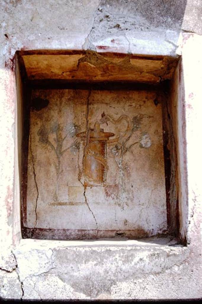 VI.14.43 Pompeii. 1964. Niche with painted altar with plants and serpent. Photo by Stanley A. Jashemski.
Source: The Wilhelmina and Stanley A. Jashemski archive in the University of Maryland Library, Special Collections (See collection page) and made available under the Creative Commons Attribution-Non Commercial License v.4. See Licence and use details.
J64f1616