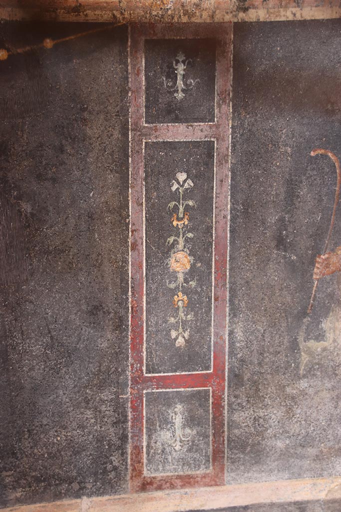 VI.15.1 Pompeii. October 2024. North wall, detail from zoccolo. Photo courtesy of Klaus Heese.