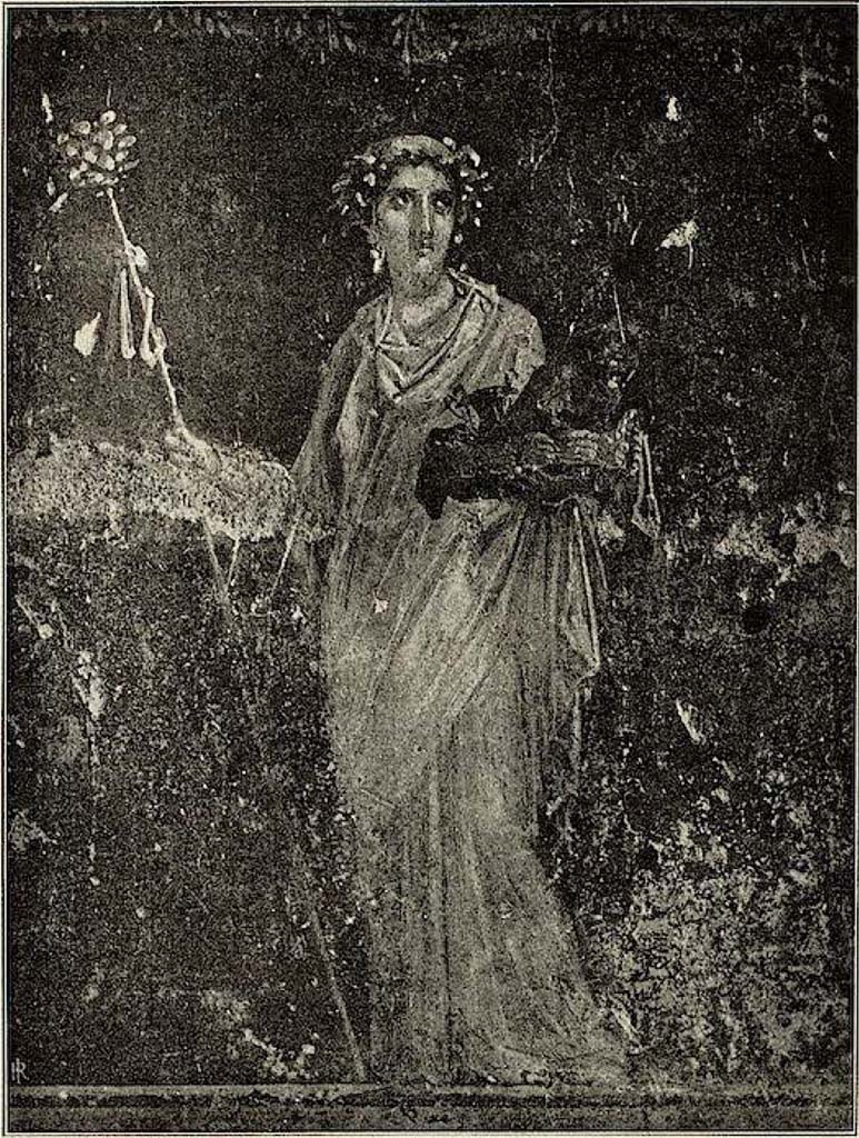 VI.15.1 Pompeii. Painted panel on zoccolo (0.48 high) from lower east wall.
Described by Sogliano as –
“Baccante, coronata, adorna di orecchini e vestita di chitone paonazzo chiaro e manto grigio, tiene nella dritta il tirso e con la sinistra un canestro, in cui sono due vasi, con una piega rossa.”
(Bacchante, crowned, adorned with earrings and dressed in a pale purple gown and grey mantle, in the right hand she holds the thyrsus, and in her left a basket, in which are two vases, with a red crease.)
See Sogliano, A. La Casa dei Vettii in Pompei, in Mon. Ant. 1898. (p.381-382, fig. 67).