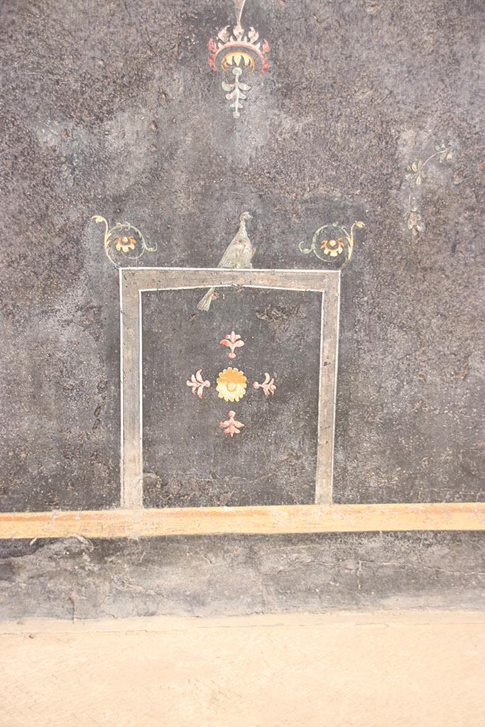 VI.15.1 Pompeii. October 2024.
Lower east wall, detail from zoccolo on south side of panel with painted Amazon.
Photo courtesy of Klaus Heese.