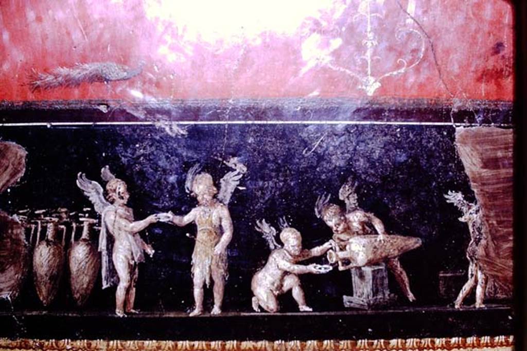VI.15.1 Pompeii. 1966. Detail from west wall of painting of cupids buying and selling wine
Photo by Stanley A. Jashemski.
Source: The Wilhelmina and Stanley A. Jashemski archive in the University of Maryland Library, Special Collections (See collection page) and made available under the Creative Commons Attribution-Non Commercial License v.4. See Licence and use details.
J66f0304
