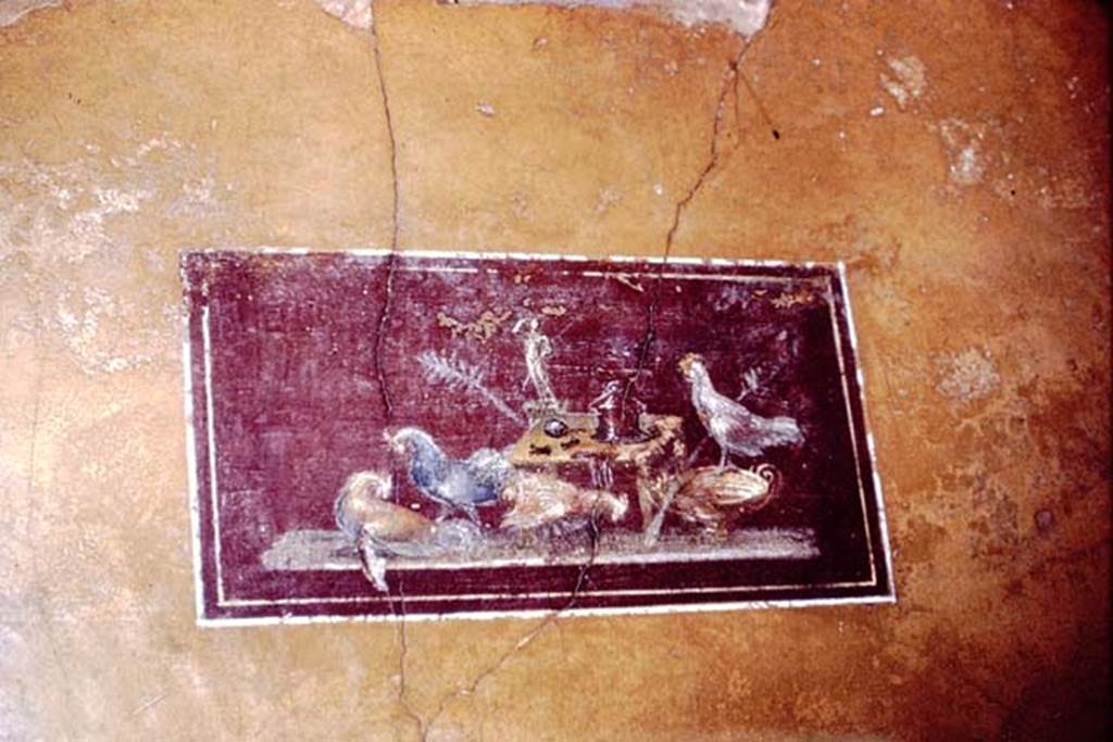 VI.15.1 Pompeii. 1966. North wall, detail of painting of cocks, from panel in ala to the north of atrium. Photo by Stanley A. Jashemski.
Source: The Wilhelmina and Stanley A. Jashemski archive in the University of Maryland Library, Special Collections (See collection page) and made available under the Creative Commons Attribution-Non Commercial License v.4. See Licence and use details.
J66f0280