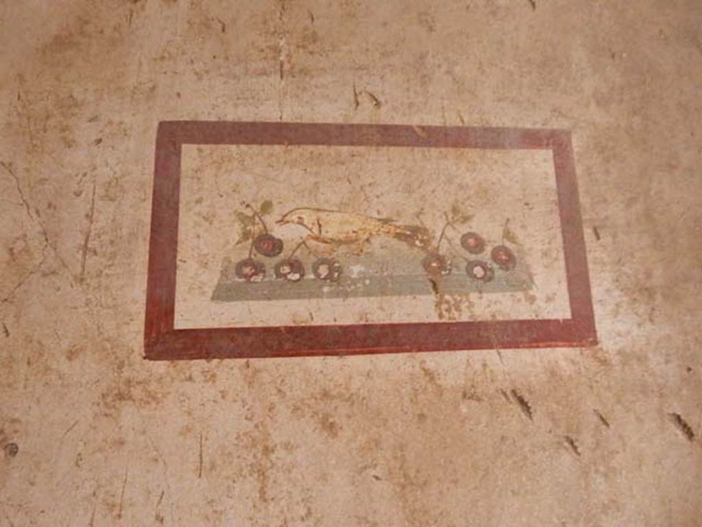 VI.15.1 Pompeii. May 2017. Painting of bird with cherries from west end of south wall. Photo courtesy of Buzz Ferebee.