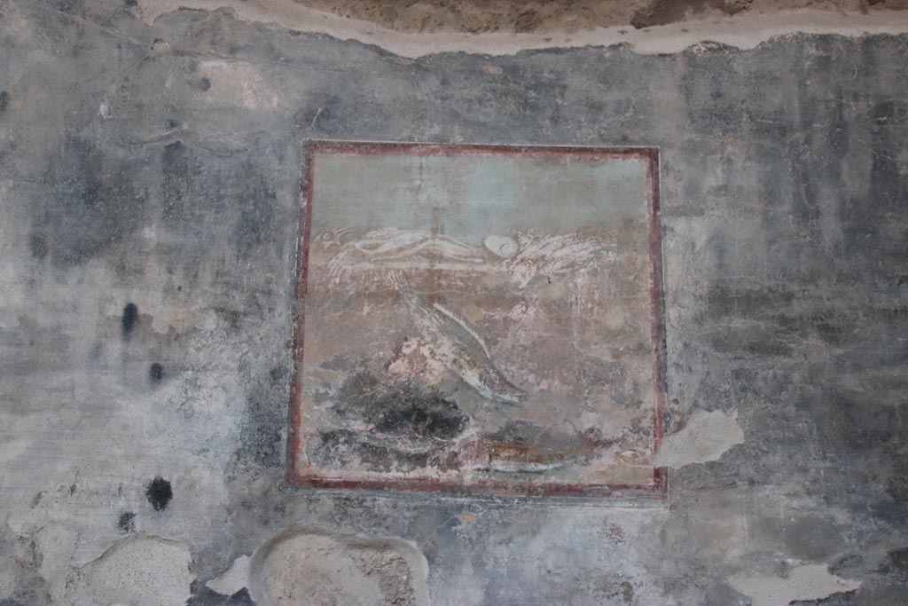 VI.15.1 Pompeii. October 2023.
West wall of peristyle, in the sixth panel from the south end, a painting of fish (59cm x 62cm). Photo courtesy of Klaus Heese.
