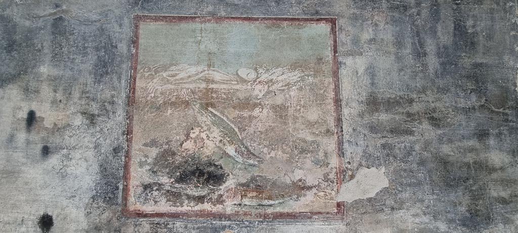 VI.15.1 Pompeii. January 2023. Painting (59cm x 62cm) of fish from north end of west wall of peristyle. Photo courtesy of Miriam Colomer.
