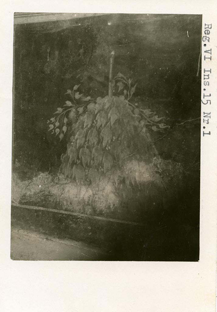 VI.15.1 Pompeii. Pre-1937-39. Zoccolo detail from west wall at north end of peristyle.
Pre-1937-39. Photo courtesy of American Academy in Rome, Photographic Archive. Warsher collection no. 1652.