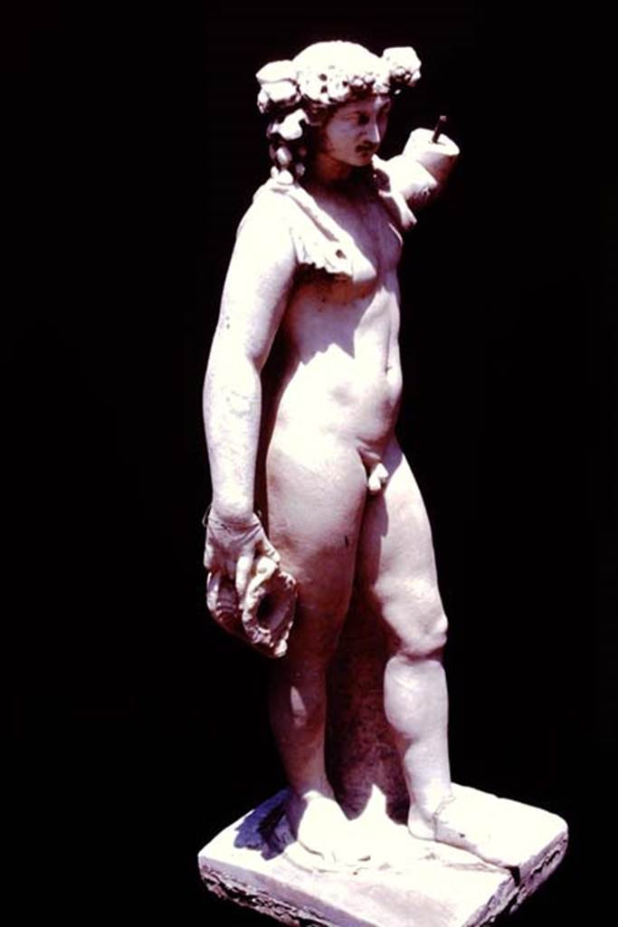 VI.15.1 Pompeii, 1978. Marble statue of Bacchus. Photo by Stanley A. Jashemski.
Source: The Wilhelmina and Stanley A. Jashemski archive in the University of Maryland Library, Special Collections (See collection page) and made available under the Creative Commons Attribution-Non Commercial License v.4. See Licence and use details. J78f0588
Compare the left arm with that in the early 1900s photograph, above.