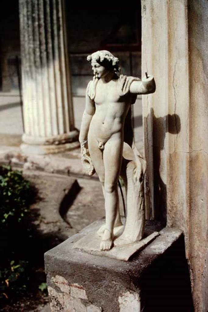 VI.15.1 Pompeii. 1972. Peristyle garden, marble statue of Bacchus in situ in south-east corner. Photo by Stanley A. Jashemski.
Source: The Wilhelmina and Stanley A. Jashemski archive in the University of Maryland Library, Special Collections (See collection page) and made available under the Creative Commons Attribution-Non Commercial License v.4. See Licence and use details. J72f0408
