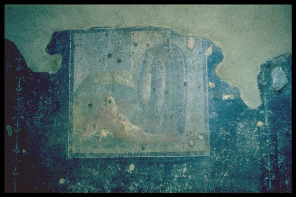 VI.15.1 Pompeii. Painted panel from panel in south wall of peristyle.
Photographed 1970-79 by Günther Einhorn, picture courtesy of his son Ralf Einhorn.