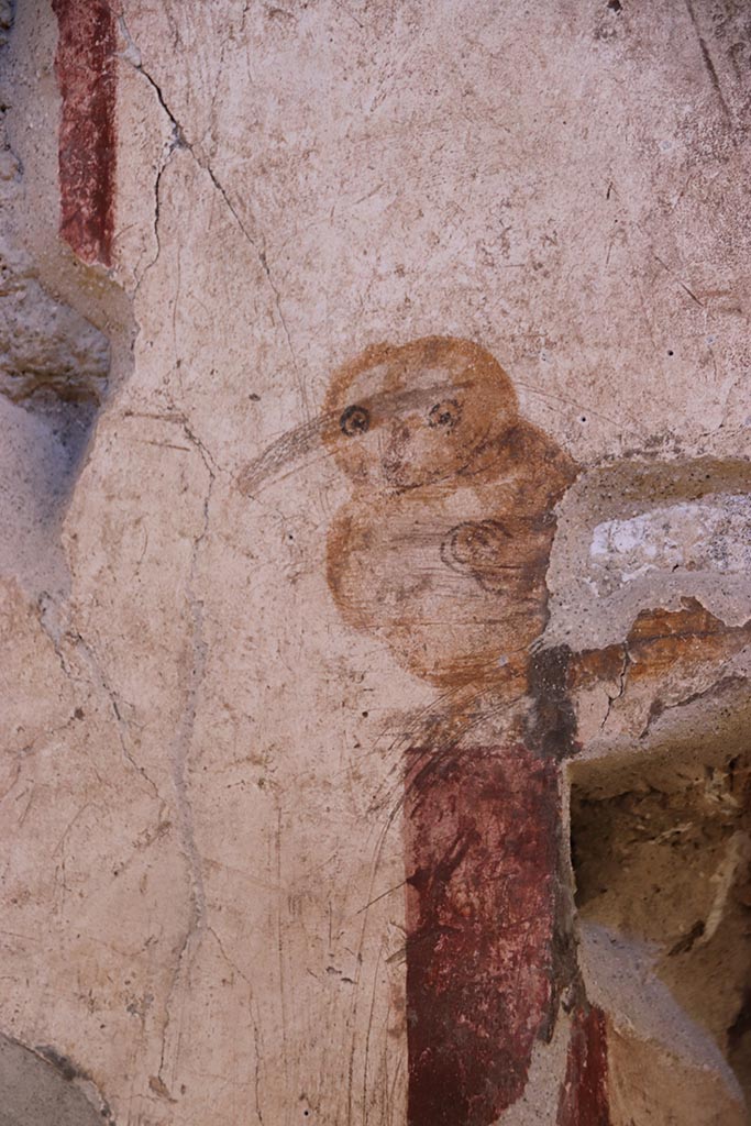 VI.15.1 Pompeii. October 2024.
Cubiculum (x’), detail from south wall above recess. Photo courtesy of Klaus Heese.