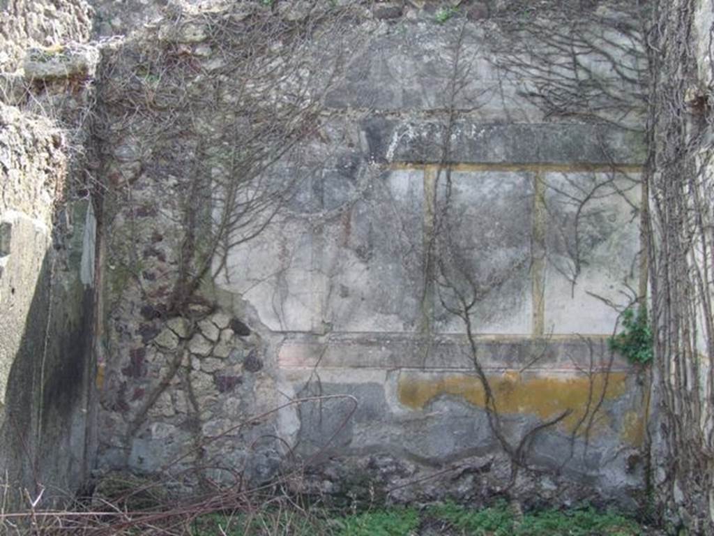 VI.15.5 Pompeii. March 2009. Room 25. Ala. South wall.