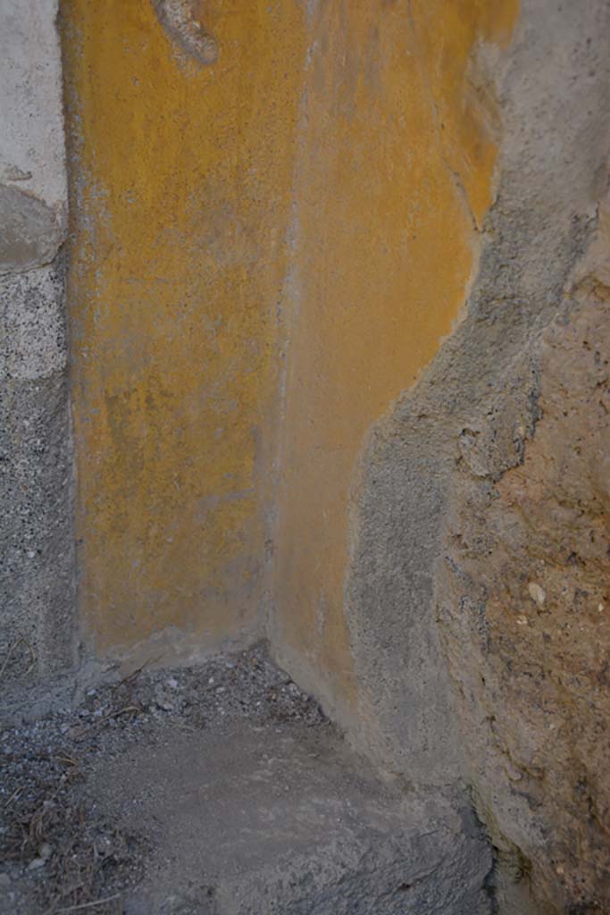VI 15 5 Pompeii. March 2019. Room 1, detail of painted corner of south side of recess in atrium.
Foto Annette Haug, ERC Grant 681269 DÉCOR.