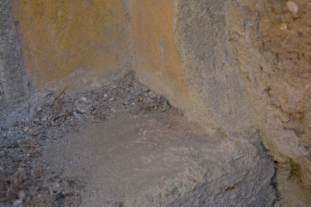 VI 15 5 Pompeii. March 2019. Room 1, detail of painted corner of lower south side of recess in atrium.
Foto Annette Haug, ERC Grant 681269 DÉCOR.
