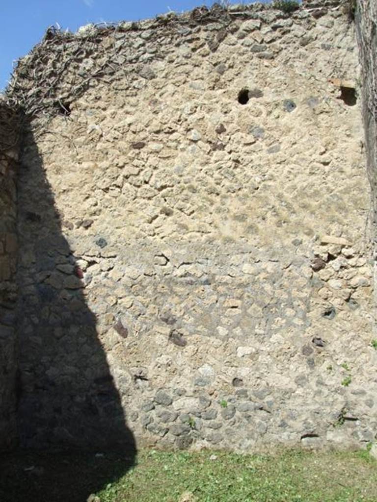 VI.15.5 Pompeii. March 2009. Room 5. North wall.