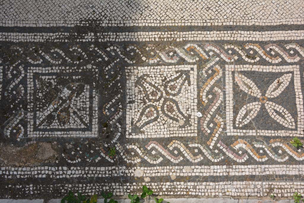 VI 15 5 Pompeii. March 2019. Tablinum 7, coloured mosaic threshold, detail starting from the south (left) side.
Foto Annette Haug, ERC Grant 681269 DÉCOR.