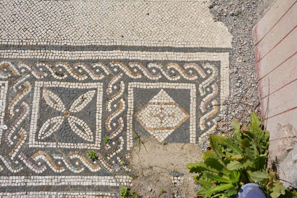 VI 15 5 Pompeii. March 2019.
Tablinum 7, coloured mosaic threshold, detail starting from the south (left) side and finishing here on the north (right).
Foto Annette Haug, ERC Grant 681269 DÉCOR.