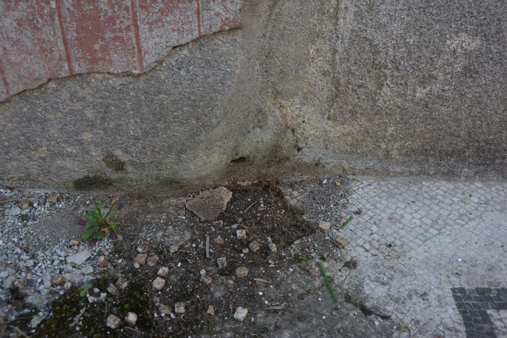 VI 15 5 Pompeii. March 2019. Tablinum 7, detail from lower south wall at east end.
Foto Annette Haug, ERC Grant 681269 DÉCOR.
