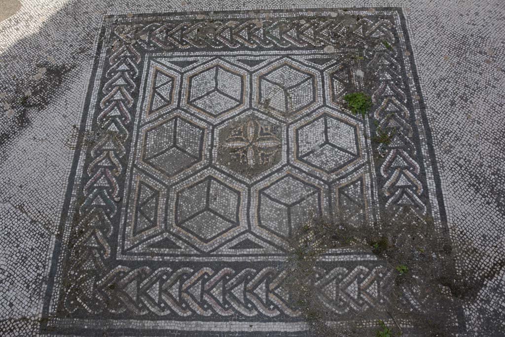 VI 15 5 Pompeii. March 2019. Tablinum 7, emblema in centre of floor.
Foto Annette Haug, ERC Grant 681269 DÉCOR.