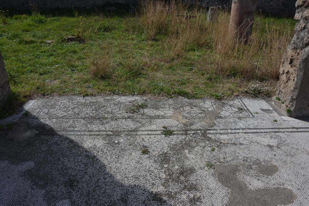 VI 15 5 Pompeii. March 2019. Tablinum 7, doorway threshold at west end of tablinum.
Foto Annette Haug, ERC Grant 681269 DÉCOR.