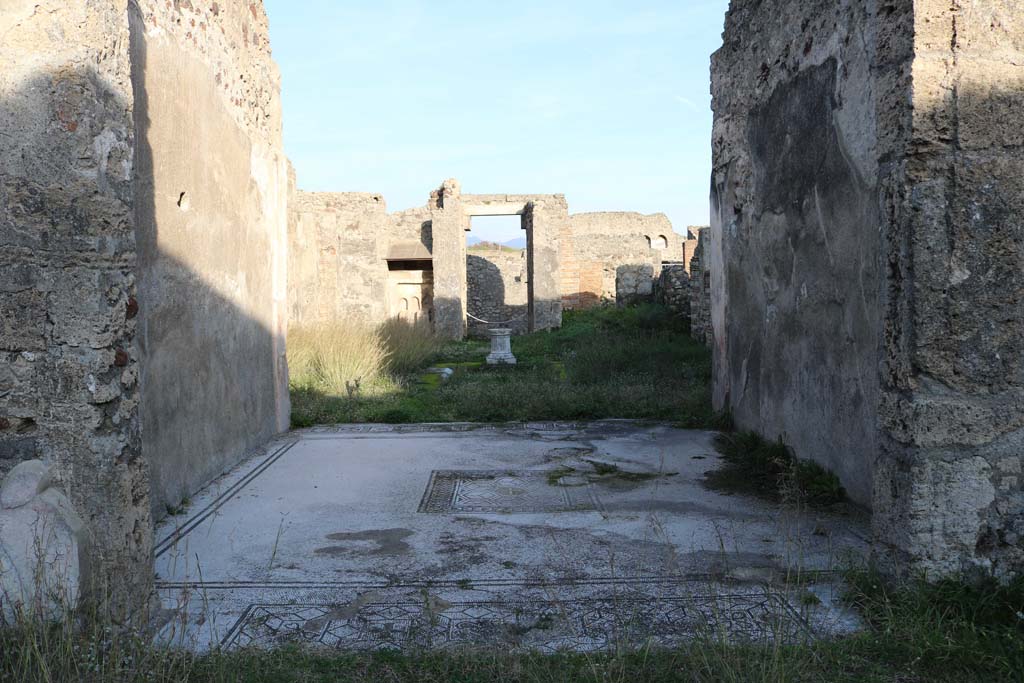 VI.15.5 Pompeii. December 2018.
Looking east across mosaic flooring in tablinum, towards atrium and entrance doorway. Photo courtesy of Aude Durand.