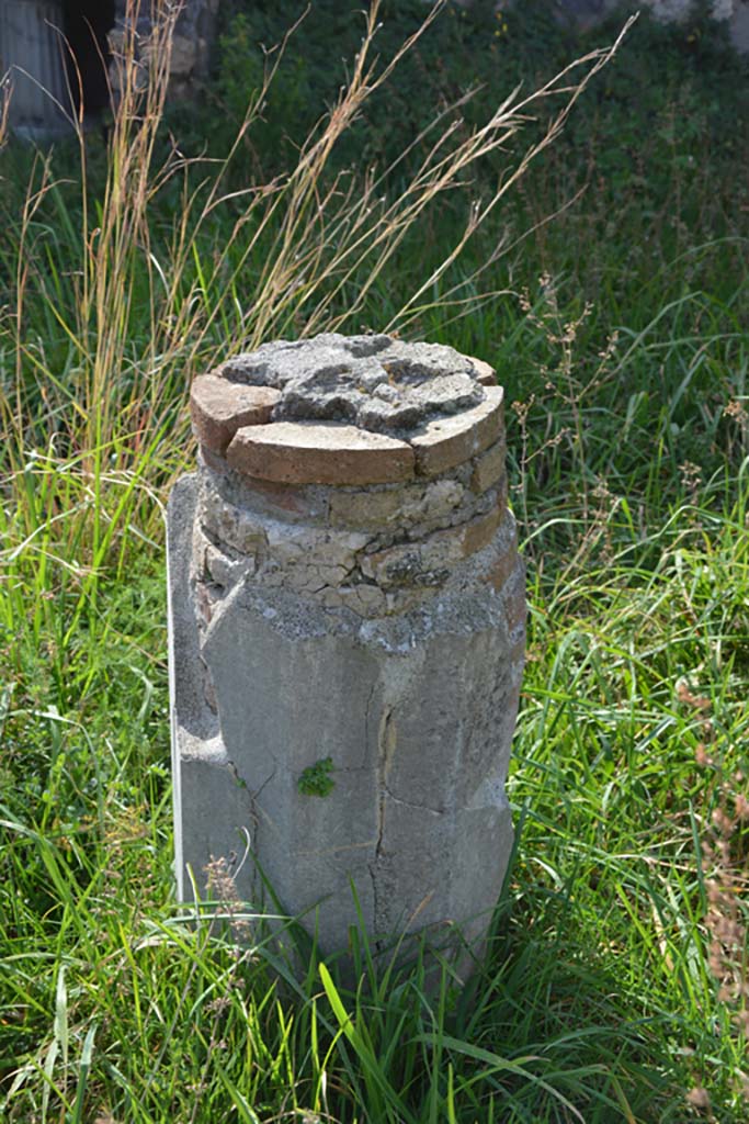 VI 15 5 Pompeii. March 2019.
Garden area 11, remaining small base of a column, possibly from the pergola of the summer triclinium, found covered in green stucco.
Foto Annette Haug, ERC Grant 681269 DÉCOR.