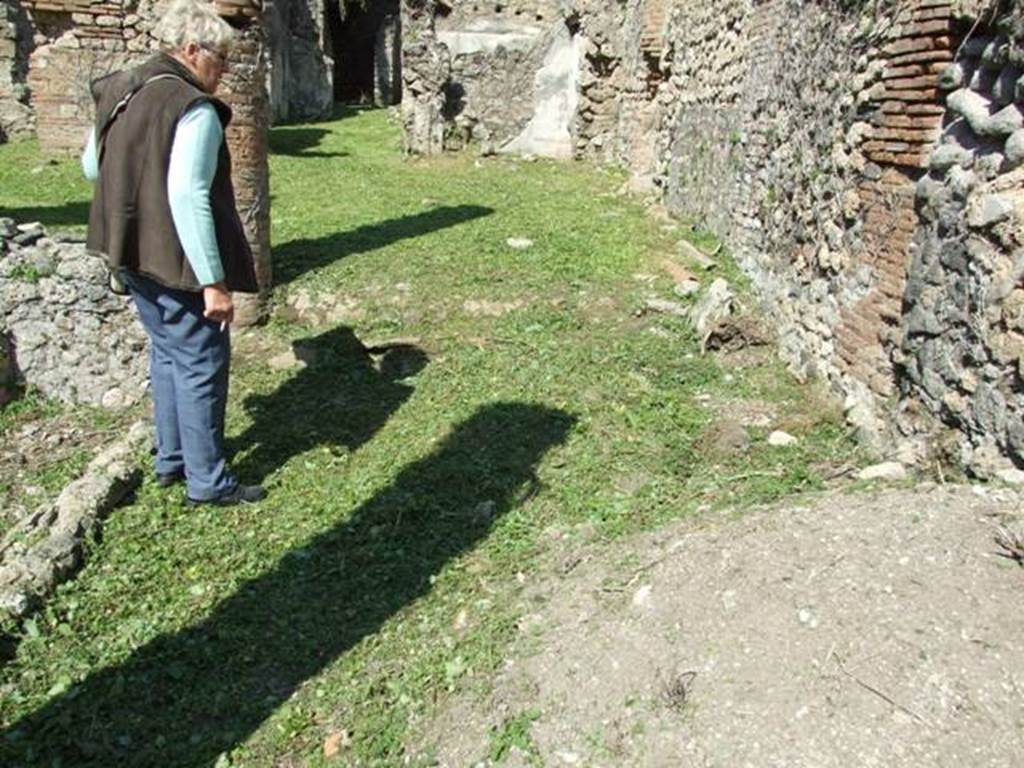 VI.15.5 Pompeii. March 2009. Room 12. North end of east portico.