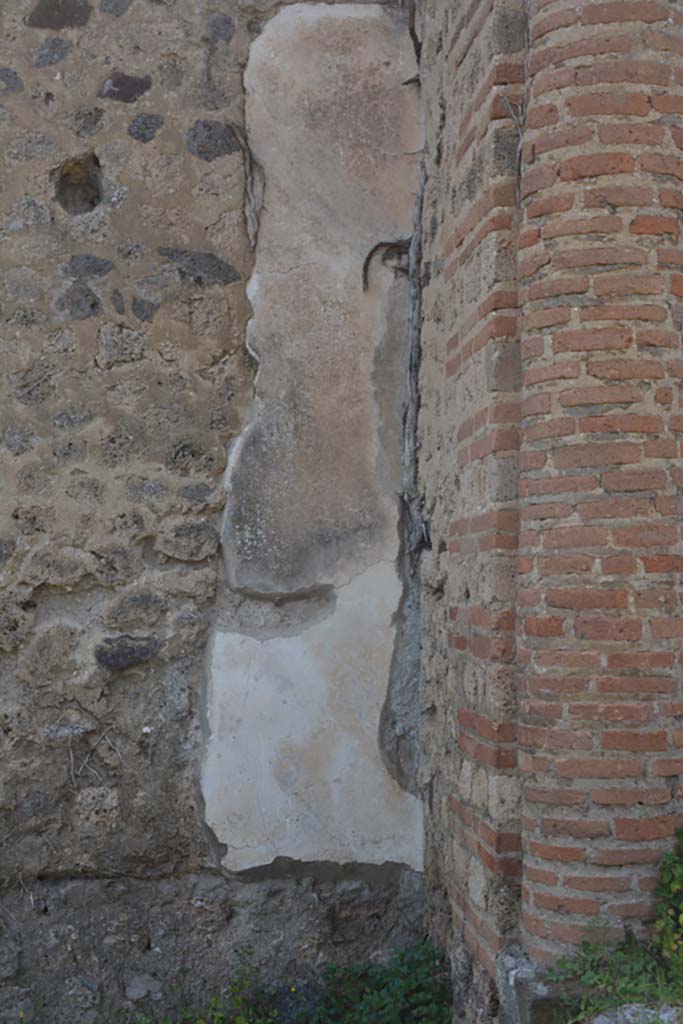 VI 15 5 Pompeii. March 2019.
Garden area 11, Detail from west wall of garden area in north-west corner.
Foto Annette Haug, ERC Grant 681269 DÉCOR.