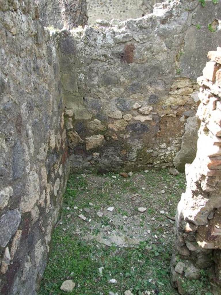 VI.15.6 Pompeii. March 2009. Room 9. West wall.
