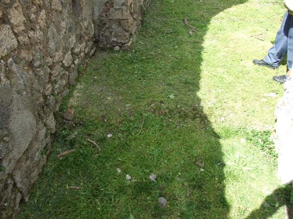 VI.15.6 Pompeii. March 2009. Room 10. Remains of step in corridor.
