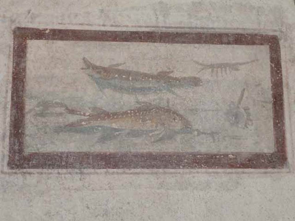 VI.15.8 Pompeii. May 2010. Painted panel of fishes on west wall of tablinum.