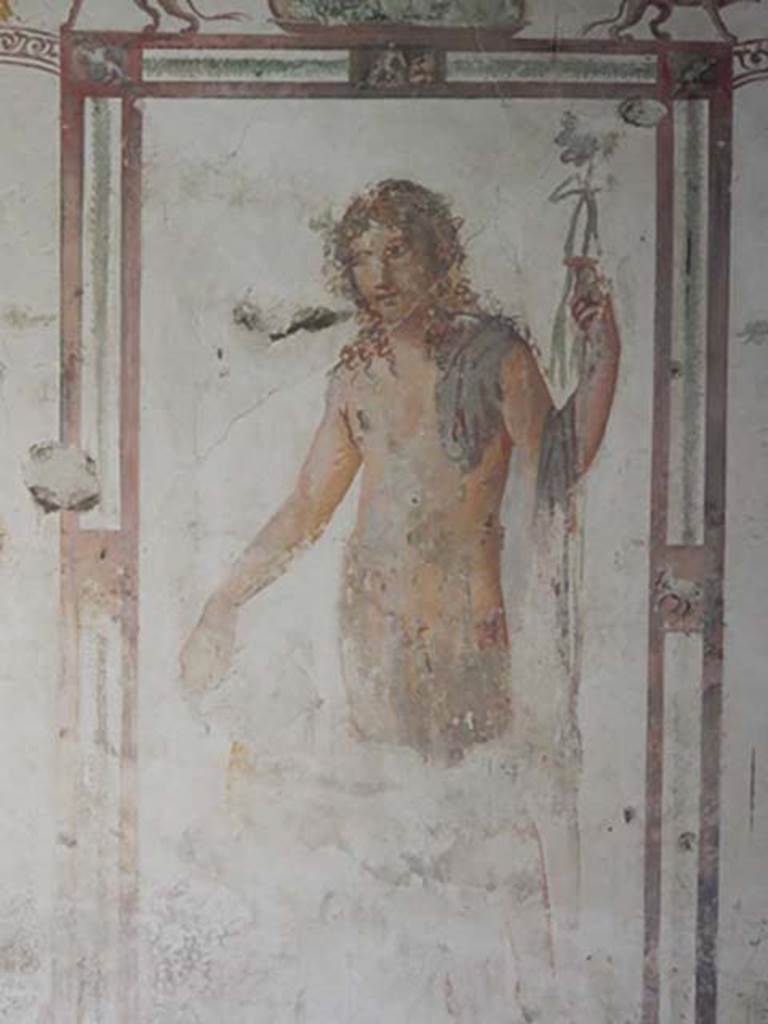 VI.15.8 Pompeii. May 2015.
Fresco of male figure (Bacchus) from the south wall of the summer triclinium. Photo courtesy of Buzz Ferebee.
Kuivalainen comments –
“A young naked Bacchus with a panther, depicted in exceptionally large size, in the same manner as the Venus on her respective wall. The artist was very talented, and may be the same one (or used the same pattern) as in the House of Iulius Polybius, showing elaborate curls……………………”
See Kuivalainen, I., 2021. The Portrayal of Pompeian Bacchus. Commentationes Humanarum Litterarum 140. Helsinki: Finnish Society of Sciences and Letters, (p.111-12, C9).