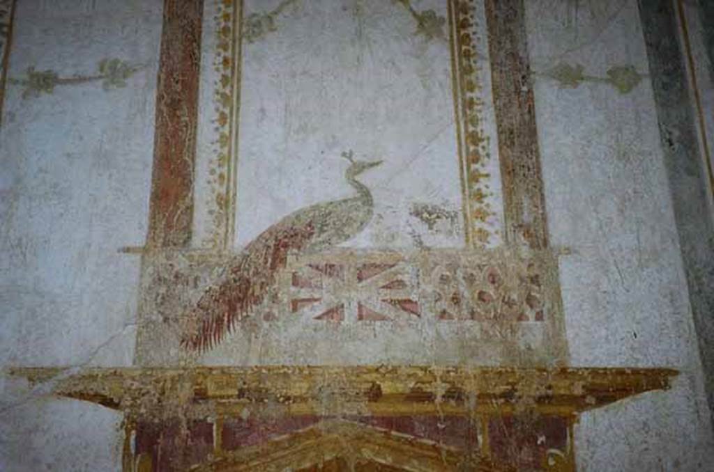 VI.15.8 Pompeii. May 2010. Painted detail from oecus. Photo courtesy of Rick Bauer.