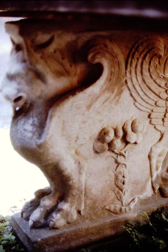 VI.15.8 Pompeii. 1968.  Detail of marble table support.  Photo by Stanley A. Jashemski.
Source: The Wilhelmina and Stanley A. Jashemski archive in the University of Maryland Library, Special Collections (See collection page) and made available under the Creative Commons Attribution-Non Commercial License v.4. See Licence and use details. J68f1016   
