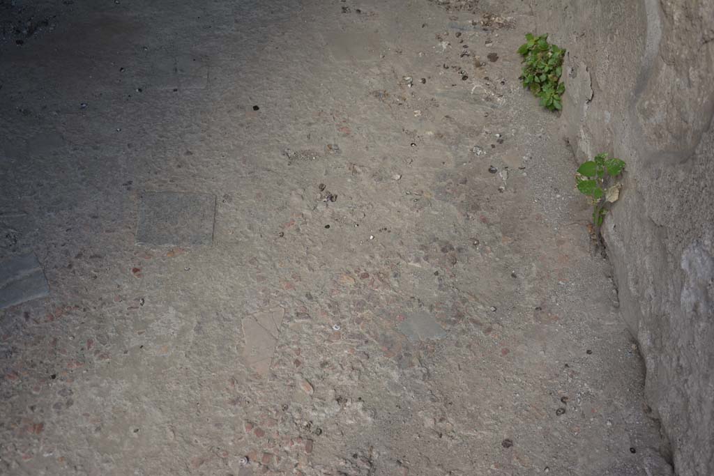VI.15.9 Pompeii. July 2017. Detail of flooring in entrance corridor.
Foto Annette Haug, ERC Grant 681269 D�COR.
