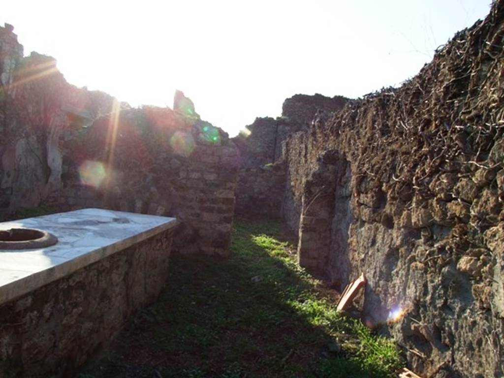 VI.15.15 Pompeii. December 2007. Looking west along north side of bar-room, through doorway into rear room. According to NdS, the rear room was decorated with plaster on a yellow background, partitioned into panels, in which were paintings of flying panthers or pecking birds.